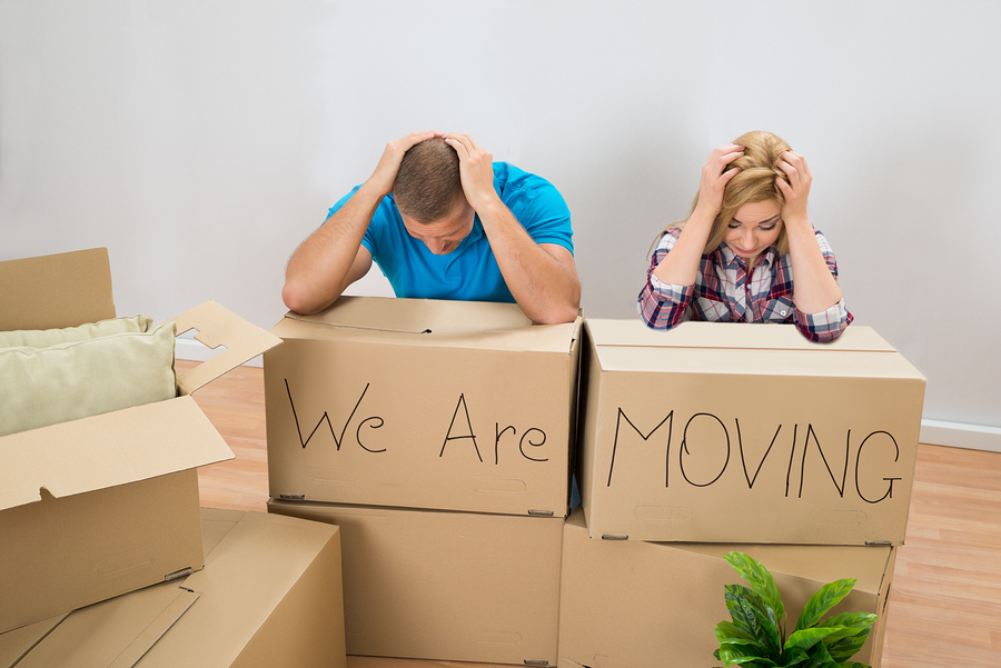Top Tips for a Stress-Free Conveyancing Experience